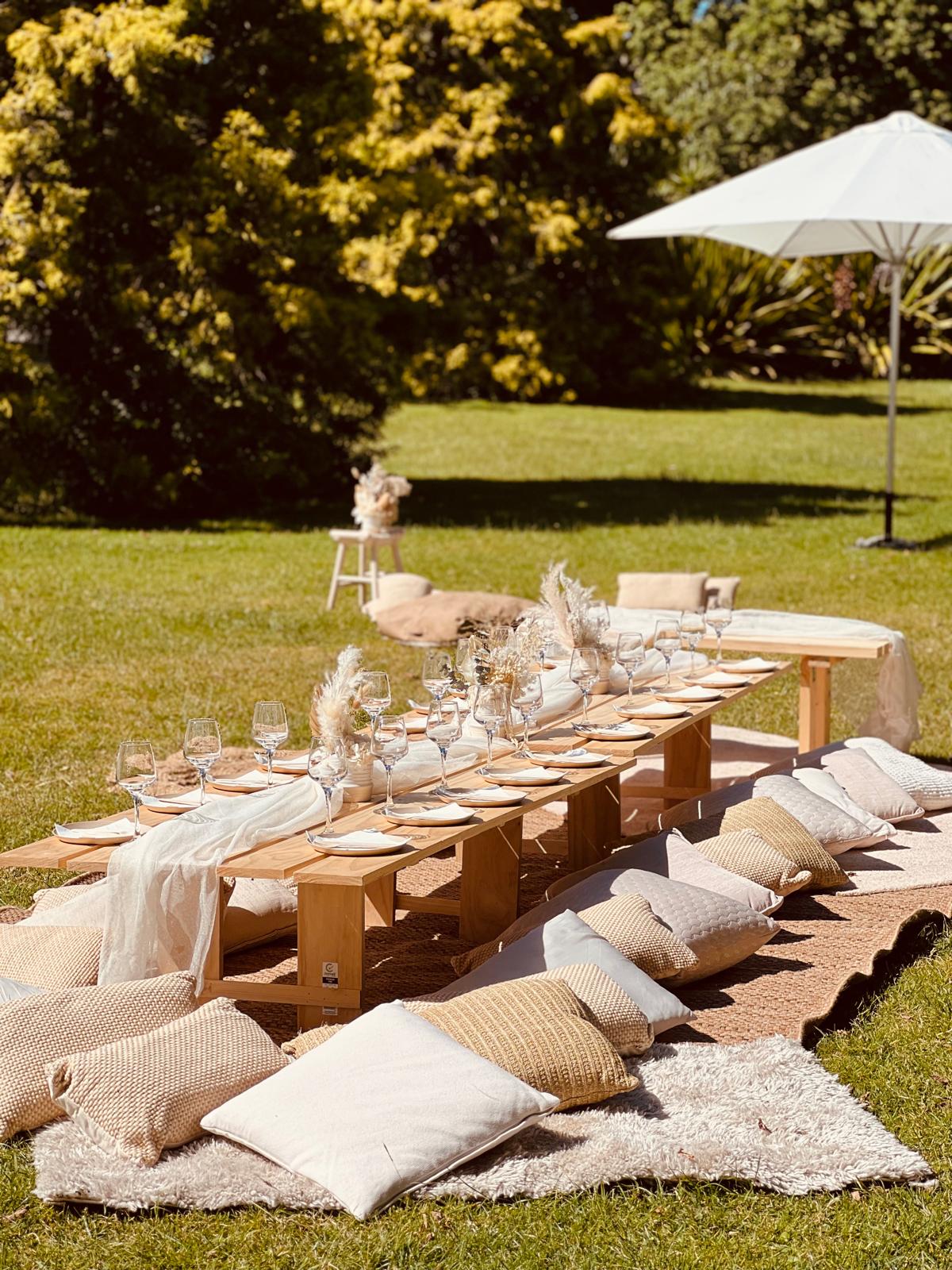 Luxury picnic setup 1
