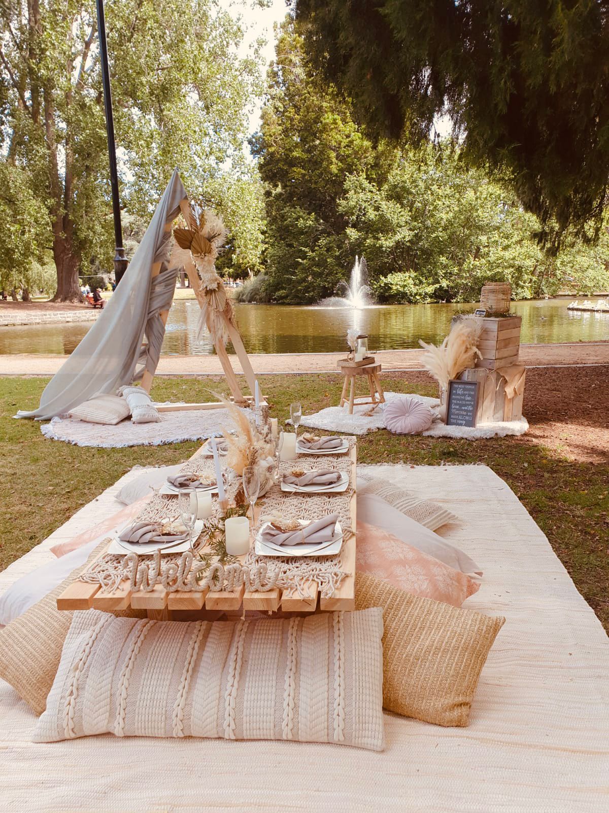 Luxury picnic setup 2